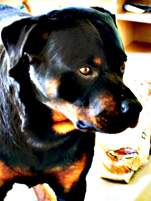 DSC00644 úprava.jpg